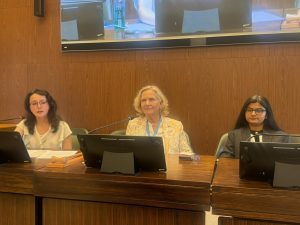 Intl seminar on gender-based violence in context of conflicts spotlights violations in IIOK