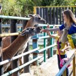 Kazakh zoos