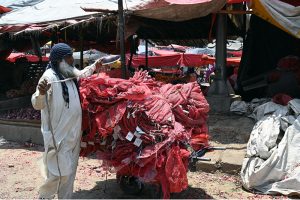 An elderly labourer ties and secures a heavily loaded cart of red mesh packing bags with rope at a busy wholesale vegetable and fruit market