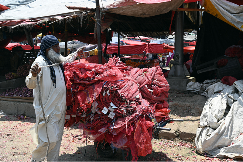 An elderly labourer ties and secures a heavily loaded cart of red mesh packing bags with rope at a busy wholesale vegetable and fruit market