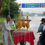 An elderly street vendor displays freshly harvested dates hanging in bunches on his roadside cart, as customers browse through the seasonal produce