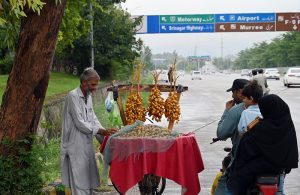 An elderly street vendor displays freshly harvested dates hanging in bunches on his roadside cart, as customers browse through the seasonal produce