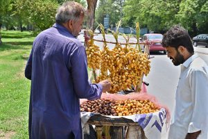 A vendor displays and sells fresh dates from his bicycle in the Federal Capital.