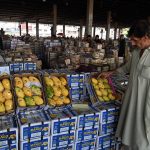 Vendor display different variety of mangoes for sale at vegetable and fruit market in the Federal Capital