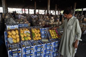 Vendor display different variety of mangoes for sale at vegetable and fruit market in the Federal Capital