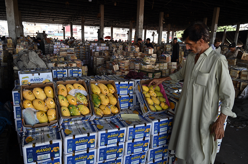 Vendor display different variety of mangoes for sale at vegetable and fruit market in the Federal Capital