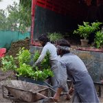 Labourers unload flowering and ornamental plants from a truck using a wheelbarrow as fresh consignments of plants arrive at the nursery during the monsoon season at a local nursery in H-9 area in the Federal Capital