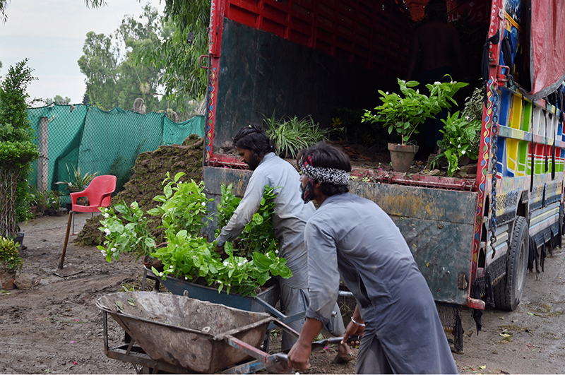Labourers unload flowering and ornamental plants from a truck using a wheelbarrow as fresh consignments of plants arrive at the nursery during the monsoon season at a local nursery in H-9 area in the Federal Capital
