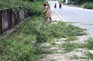 A worker is busy cutting extra plants along the IJP service road in the Federal Capital.