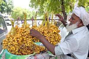 A vendor arranging and displaying fresh dates to attract the customers at his roadside setup in Federal Capital.