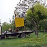 A worker is busy trimming tree in greenbelt near Zero Point in Federal Capital