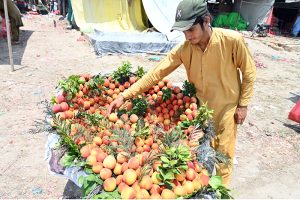 Vendor display different variety of mangoes for sale at vegetable and fruit market in the Federal Capital