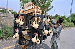A vendor displays traditional stools, bird nests, and refrigerator bases loaded onto a bicycle in the Federal Capital.