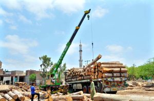Labourers use a crane to unload timber logs from a trailer at a timber market in the city.