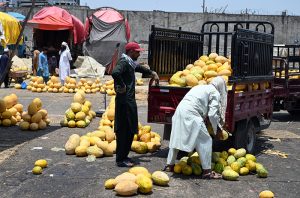 Vendor display different variety of mangoes for sale at vegetable and fruit market in the Federal Capital