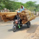 A motorcyclist transports an oversized load of straw mats on a three-wheeled motorcycle while a passenger rides atop the cargo, posing a serious road safety risk as they travel through the city