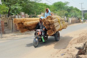 A motorcyclist transports an oversized load of straw mats on a three-wheeled motorcycle while a passenger rides atop the cargo, posing a serious road safety risk as they travel through the city