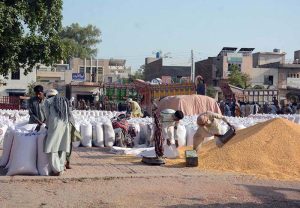 Laborers are busy filling corn into bags at the grain market.