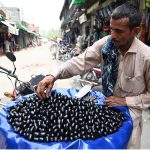 A street vendor sells seasonal fresh fruit jaaman (black berry) in the City