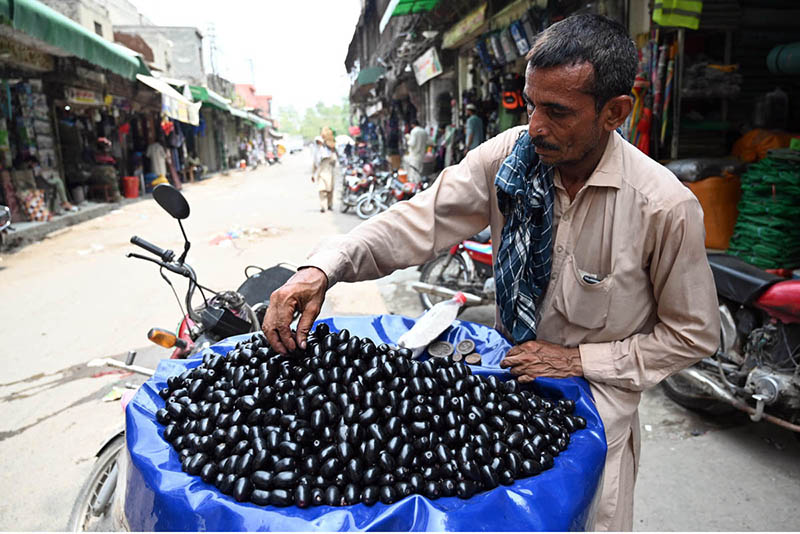 A street vendor sells seasonal fresh fruit jaaman (black berry) in the City