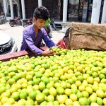 A young vendor sells fresh lemons by the roadside as demand rises amid scorching summer heat