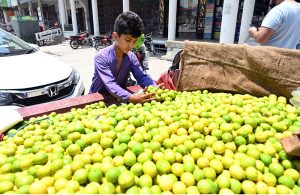 A young vendor sells fresh lemons by the roadside as demand rises amid scorching summer heat