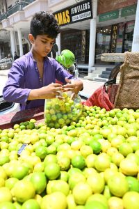 A young vendor sells fresh lemons by the roadside as demand rises amid scorching summer heat