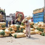 Labourers unload sacks of fresh leafy vegetables from trucks at the wholesale vegetable market for distribution to local markets in the city