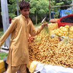 A vendor displaying and selling fresh dates at his roadside setup