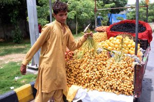 A vendor displaying and selling fresh dates at his roadside setup