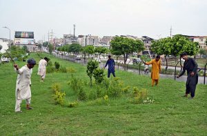 Workers are busy cutting overgrown grass and weeds in green areas following the heavy monsoon rains.
