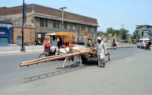 An elderly man transports a wooden ladder on a donkey cart along Lari Adda Road.