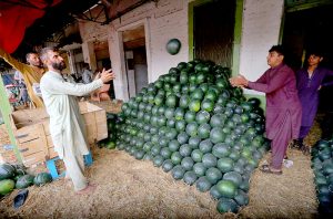 Vendors displaying watermelon to attract the customers at Fruit Market.