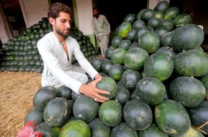 Vendors displaying watermelon to attract the customers at Fruit Market.