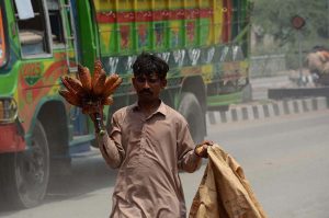 A vendor displaying and arranging roasted corn cobs to attract the customers at Samundri Road.