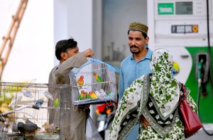 Customers bargain with a roadside vendor selling colorful pet birds at a makeshift market in the city.