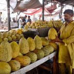 A vendor displaying seasonal fruit to attract the customers