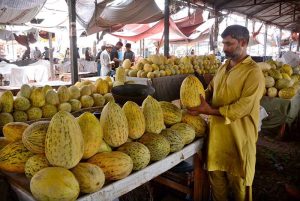 A vendor displaying seasonal fruit to attract the customers