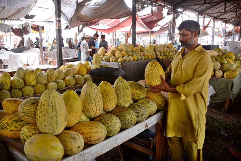 A vendor displaying seasonal fruit to attract the customers