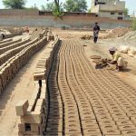 Workers are engaged in preparing and arranging freshly moulded clay bricks for sun drying at a brick kiln on the outskirts of the city