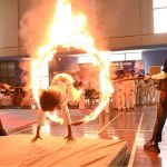 Players of The Karate Academy, University of Sargodha, demonstrate their martial arts skills during a belt promotion ceremony organized in collaboration with the District Sports Department