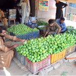 Workers sort and pack freshly harvested mangoes into plastic crates at a wholesale fruit market during the peak mango season