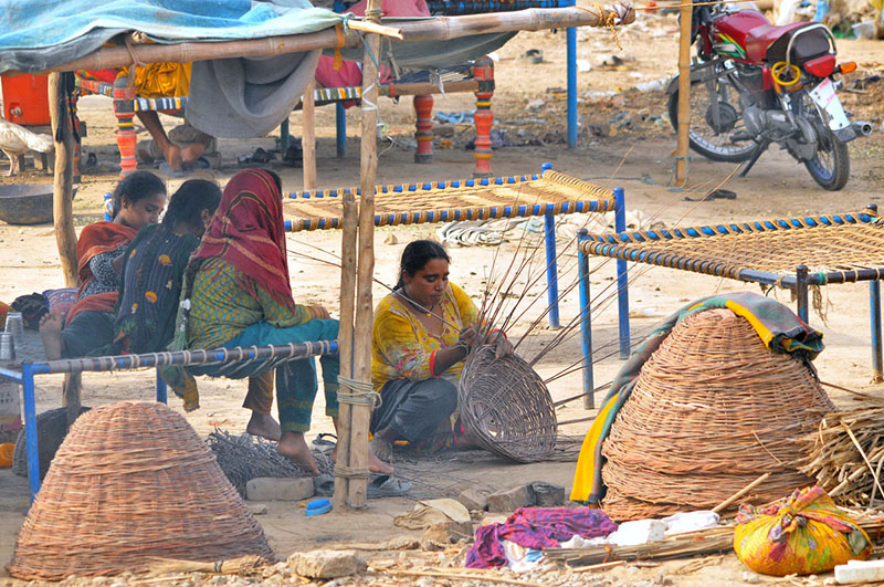 A nomadic woman weaves traditional baskets from dried tree branches under a makeshift roadside shelter to earn a living, while her family rests in a nearby temporary hut amidst the intense heat