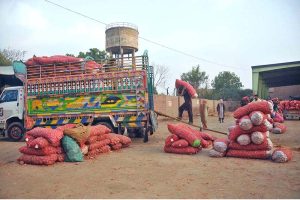 Traders are participating in the auction of sacks of freshly harvested potatoes at the wholesale vegetable market in the city.
