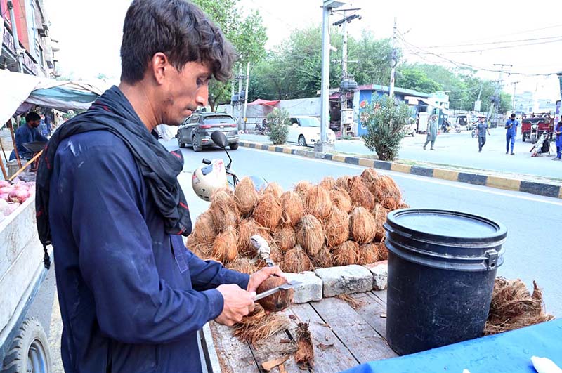 A vendor cleaning coconuts at his roadside setup