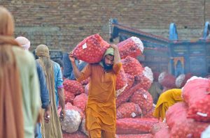 Traders are participating in the auction of sacks of freshly harvested potatoes at the wholesale vegetable market in the city.