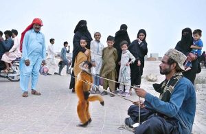 A man entertains visitors with his trained monkey at Seaview while earning his livelihood.