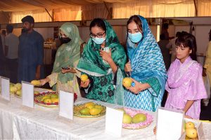 Visitors, including women and children, take interest in different varieties of mangoes displayed during the Mango and Dates Festival 2026 at Muhammad Nawaz Sharif University of Agriculture (MNSUA)