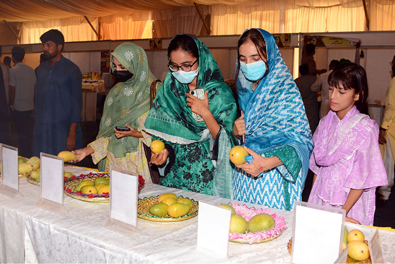 Visitors, including women and children, take interest in different varieties of mangoes displayed during the Mango and Dates Festival 2026 at Muhammad Nawaz Sharif University of Agriculture (MNSUA)