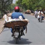 A motorcyclist transports goats in a large wicker basket balanced on the back of his motorcycle while heading to a local livestock market, posing a road safety risk on a city road